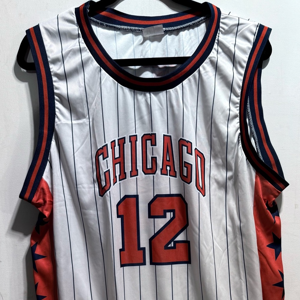 Chicago Bulls Jersey Ayo Dosunmu #12 Size-L by Kick10 Chicago